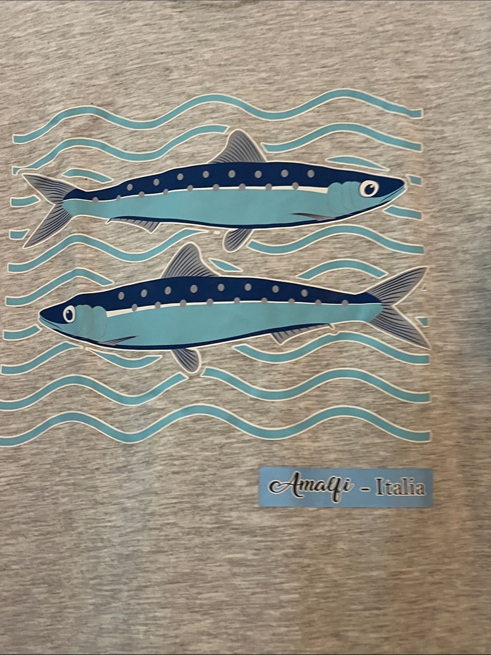 🦀NWOT Gray Tee with Blue Amalfi Sardine Graphic - Picture 2 of 2